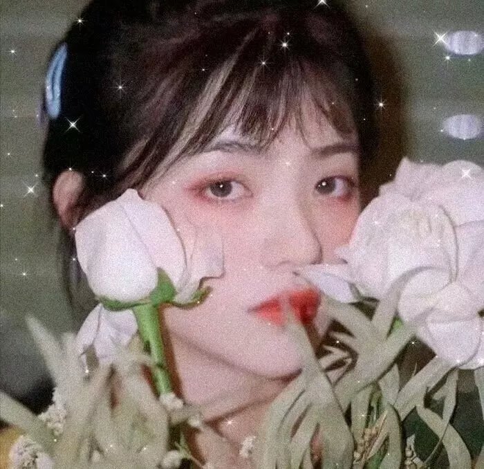 真的真的很抱歉